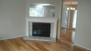 141fireplace.jpg